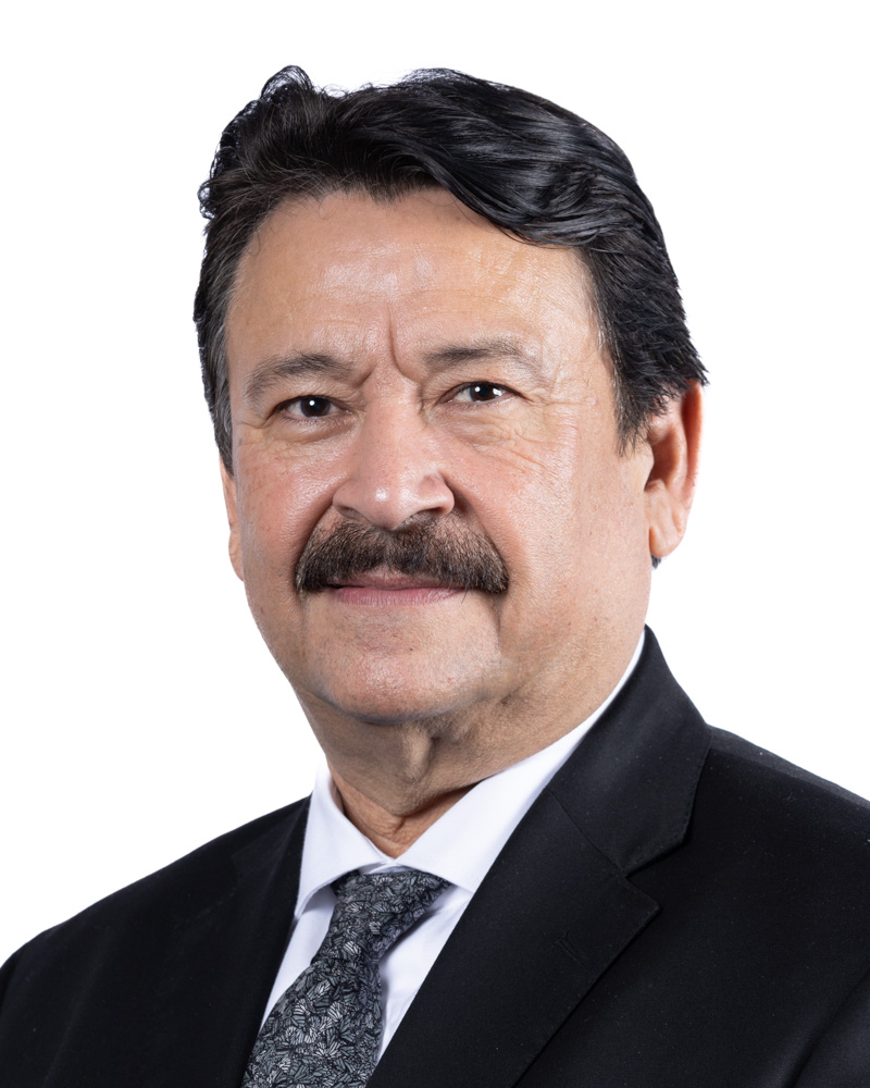 Dr. Pedro Luis Ramírez Perales